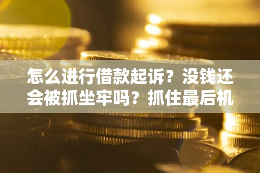 北京怎么进行借款起诉？没钱还会被抓坐牢吗？抓住最后机会！