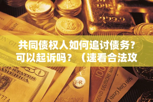 北京共同债权人如何追讨债务？可以起诉吗？（速看合法攻略）