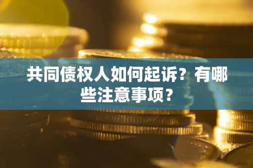 北京共同债权人如何起诉？有哪些注意事项？