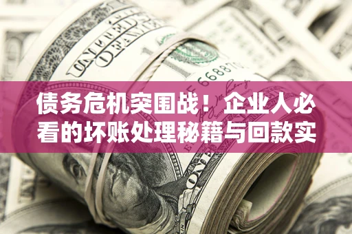 北京债务危机突围战！企业人必看的坏账处理秘籍与回款实战指南